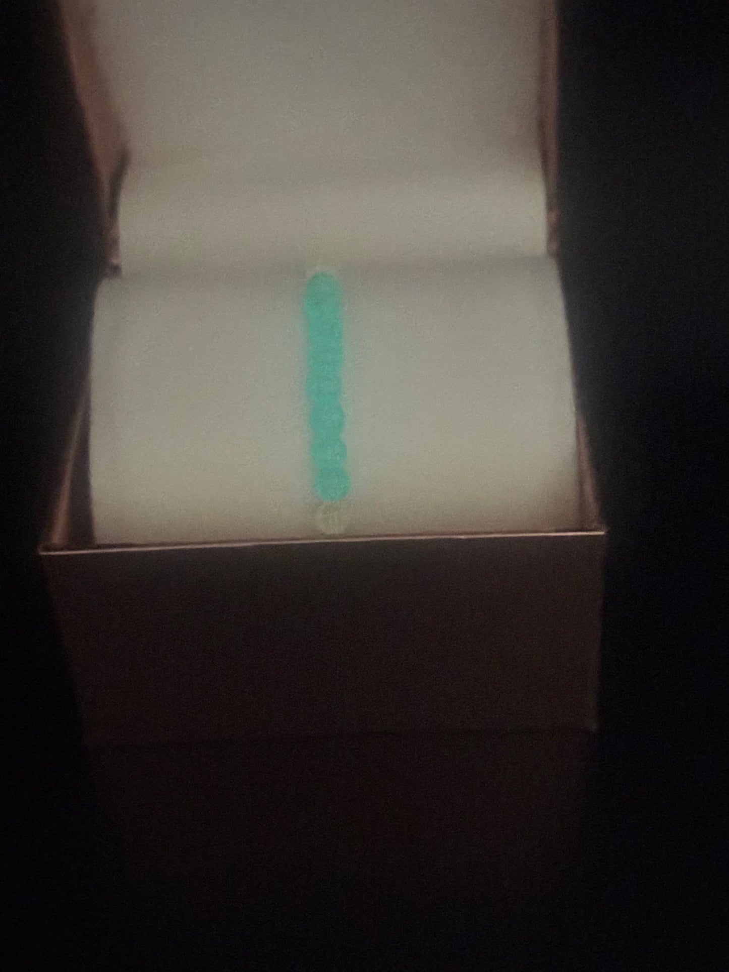 Glow in the Dark Bracelet #246