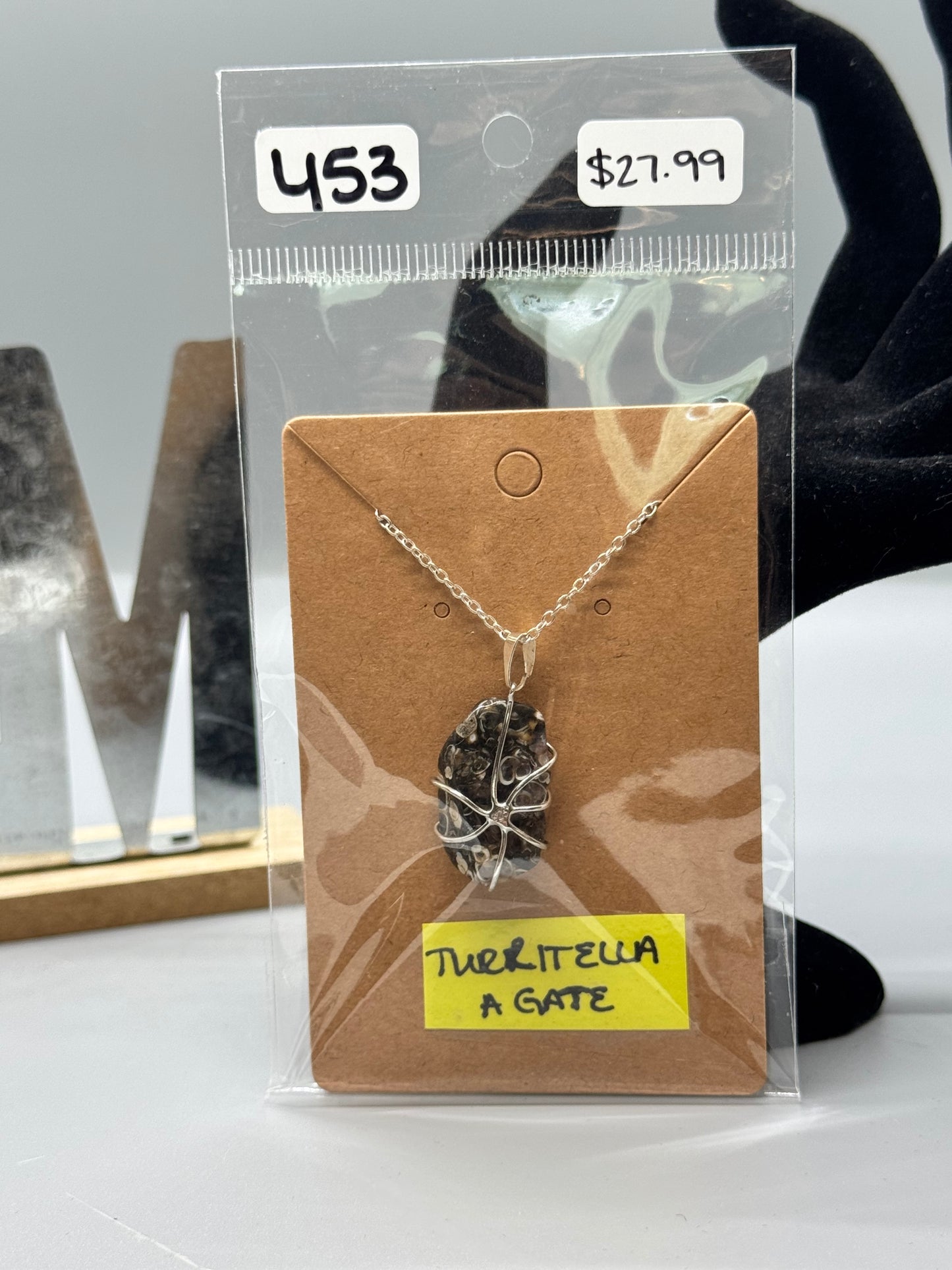 Hand-Wrapped Turritella Agate Pendant on 16" Silver Chain # 453