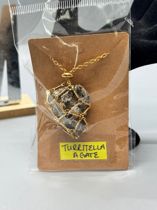 Turritella Agate Necklace on Gold 32" Chain #454